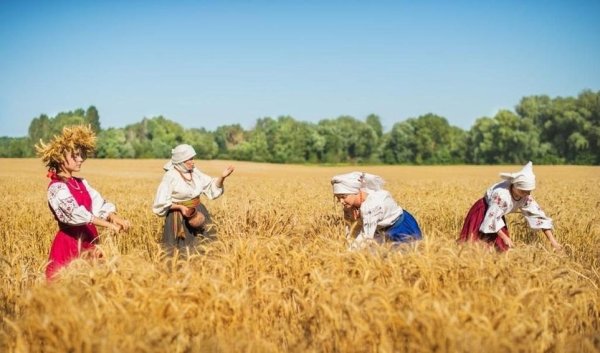 Работники в поле