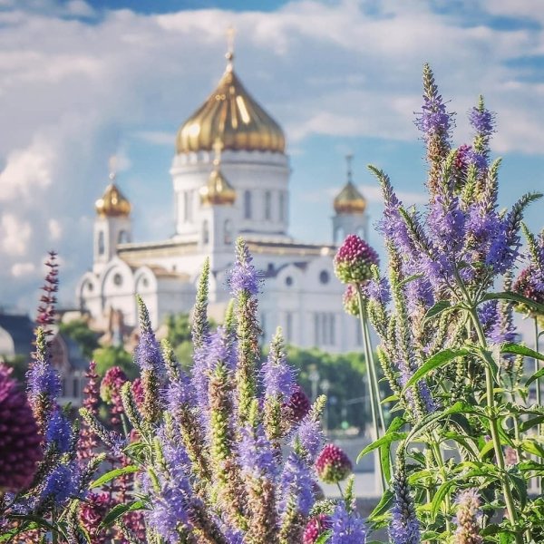 Храм и цветочки красивые