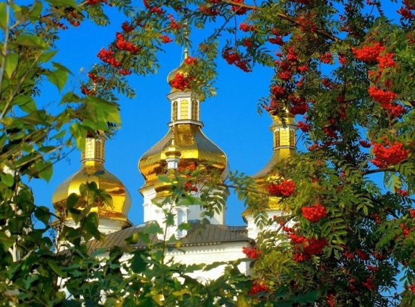 Цветы на фоне храма