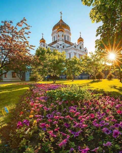 Храм Христа Спасителя цветут деревья