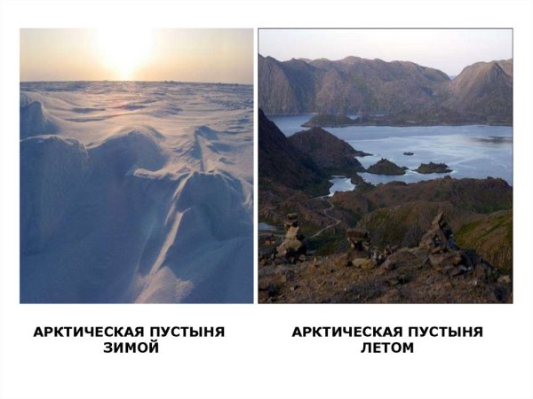 Арктическая пустыня зимой и летом
