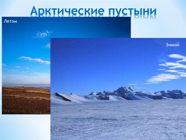 Природные зоны Евразии арктические пустыни