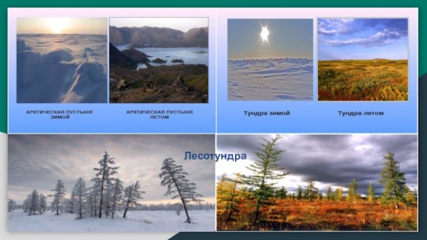 Природные условия тундры и лесотундры
