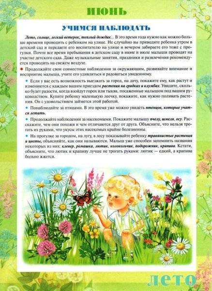 Консультация для родителей в детском саду лето