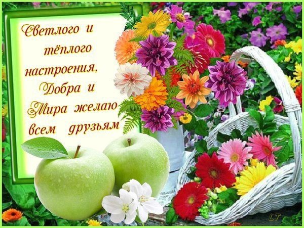 С летним добрым днем и отличным здоровьем