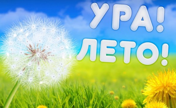 Ура лето картинки