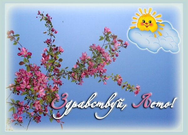 С летом поздравления