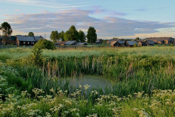 Северное лето