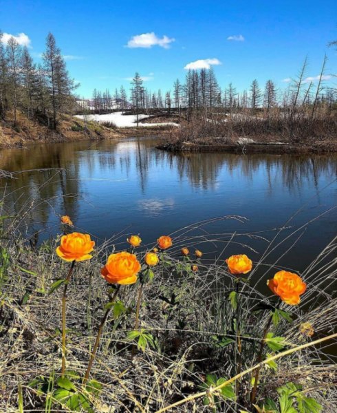 Север летом