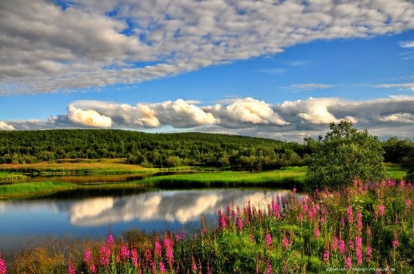 Природа севера Мурманск