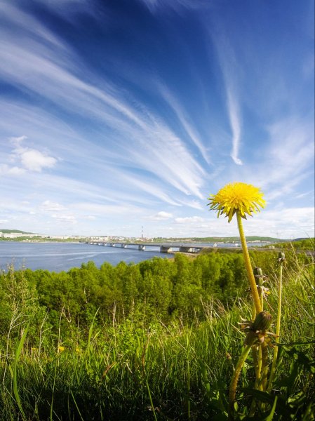 Майское солнце