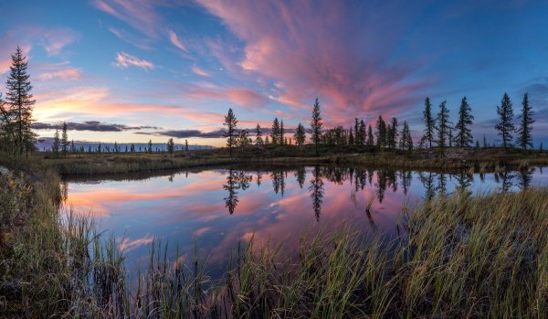 Ненецкий автономный округ природа