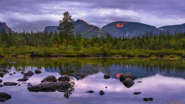 Хибины Кольский полуостров природа