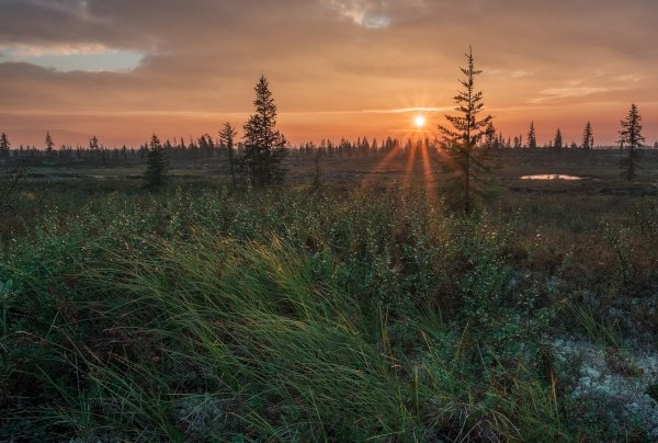 Природа в картинках