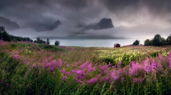 Мшинский заказник Ленинградской области