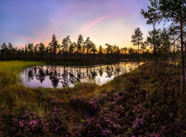 Реки России