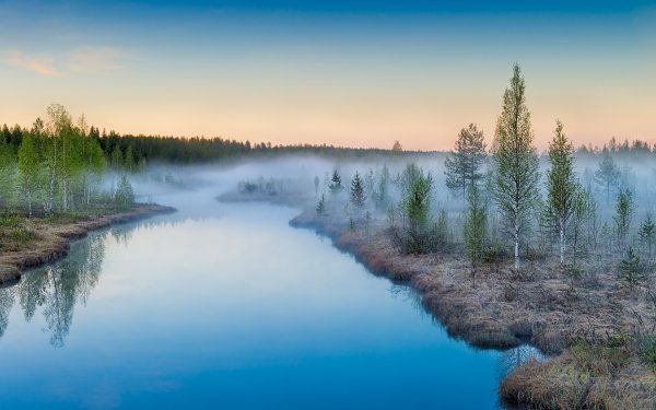 Рассвет летом