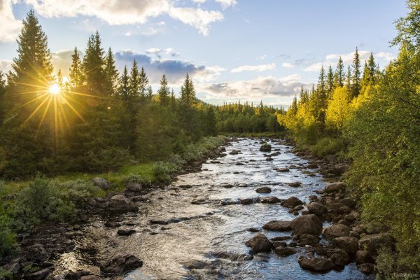 Пушкин но наше Северное лето карикатура южных зим