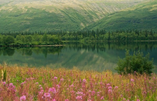 Заливные Луга Подмосковья