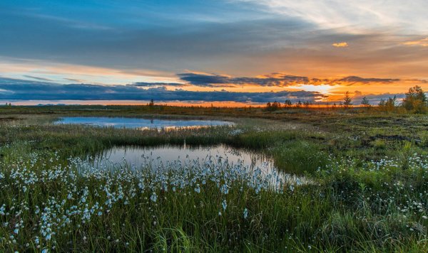 Национальный парк Ладожские шхеры