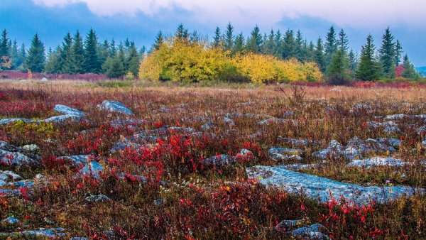 Северное лето