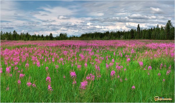 Фёдор Лашков фотограф река