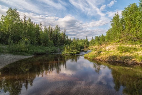 Пейзаж севера летом