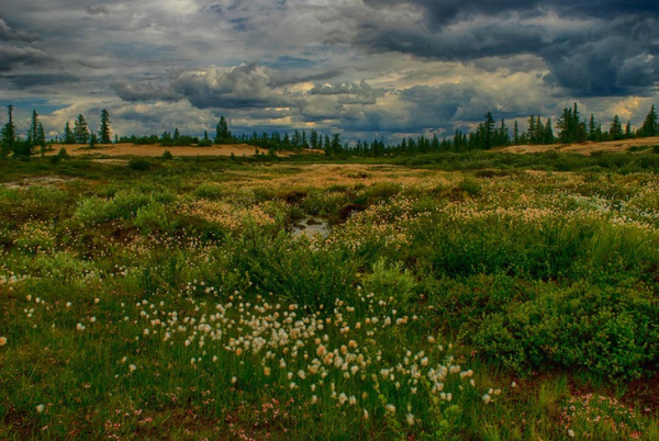 Мурманск природа Кольский полуостров