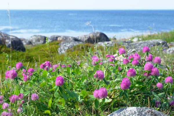 Природа и климат Карелии