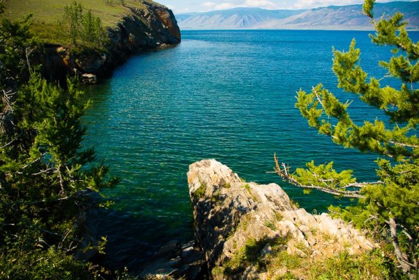 Байкал зеленый