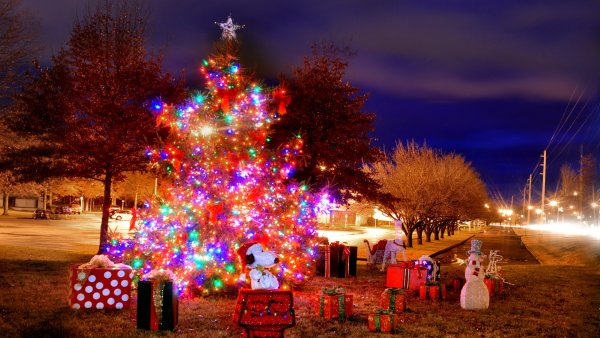 Красивая елка