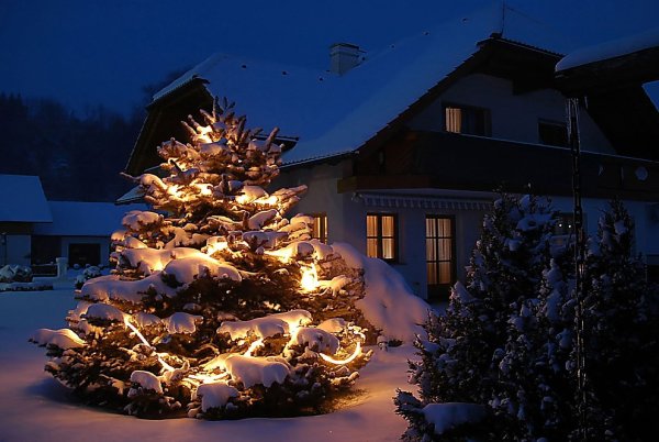 Новогодняя елка