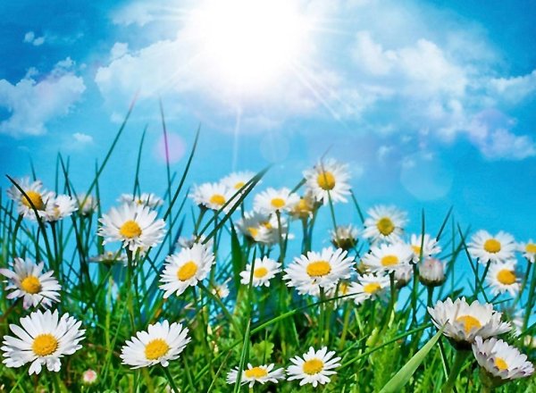 Июньский день лето