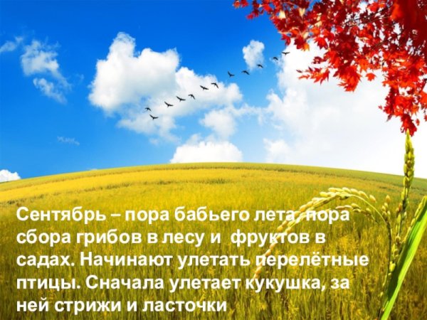 Бабье лето открытки