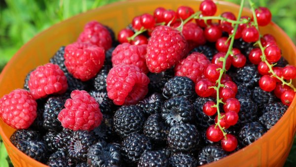 Ягоды фото для детей