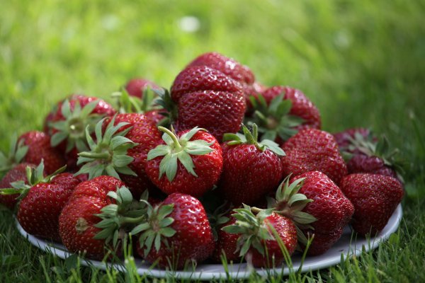 Лето клубника