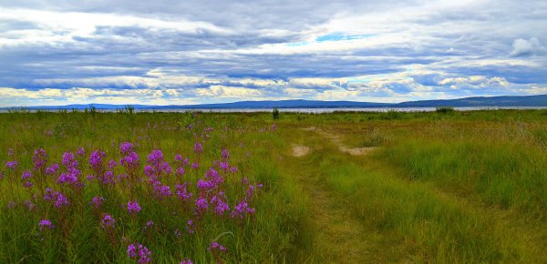 И Тайга , и степи Забайкалья