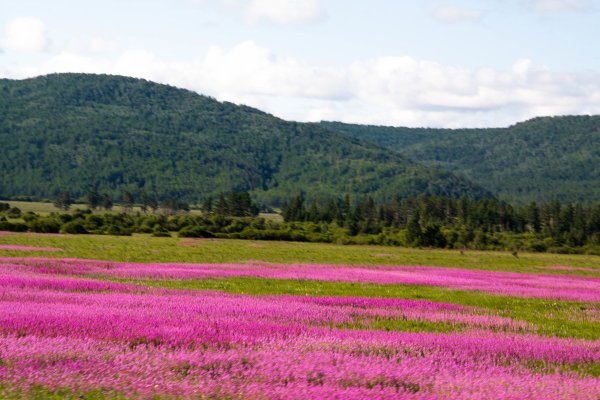 Природа октября в Забайкалье