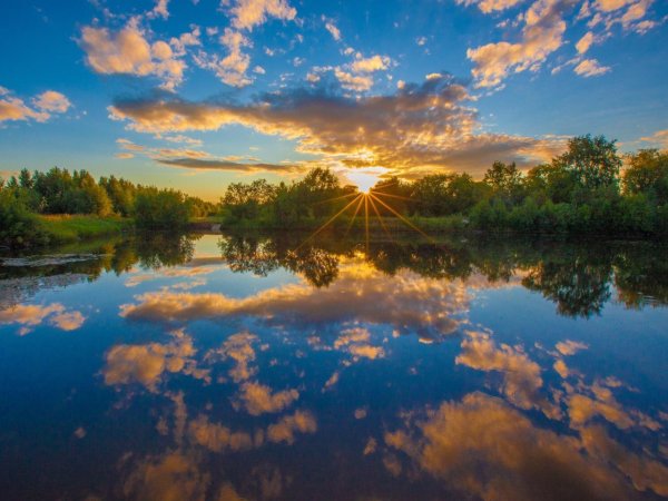 Иван чай в Забайкалье