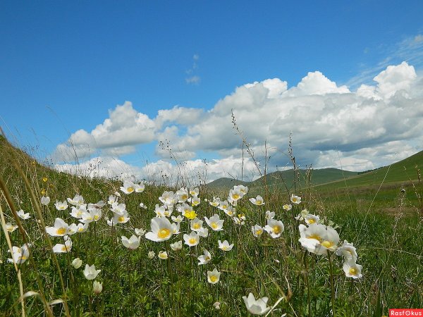 Лето в Забайкалье
