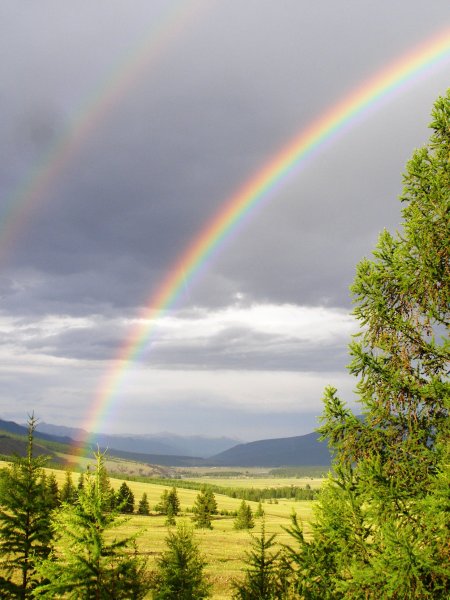 Забайкалье летом