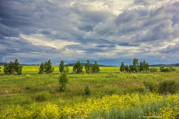 Ивано-Арахлейская система озер Забайкальский край