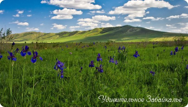 Забайкальский край лето