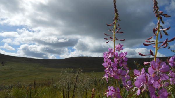 Тэгда Хоринский район