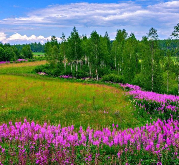 Семеновская сопка в Забайкалье