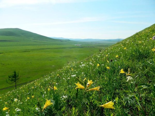 Красивая природа Забайкалье хосход