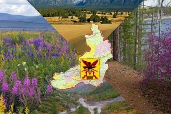 Таежные Луга Забайкалья