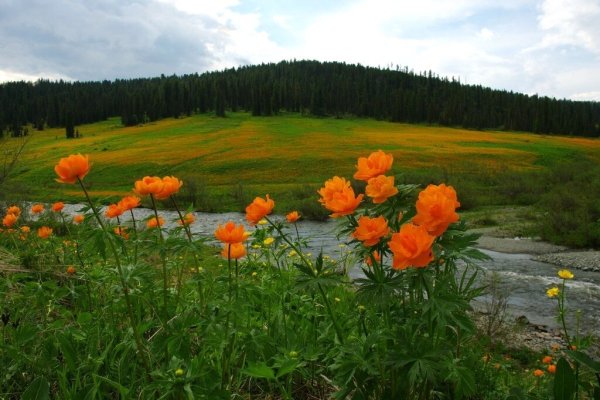 Забайкалье фото