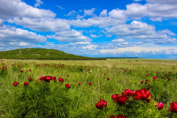 Лето в Забайкалье