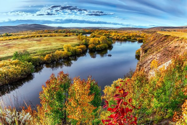 Лес Забайкальского края